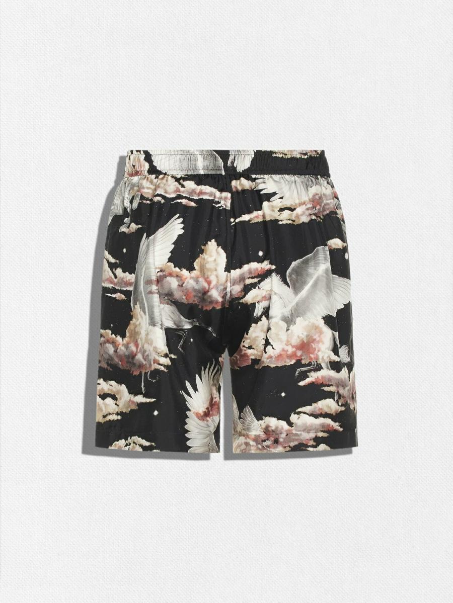 ペガサス柄ショーツ