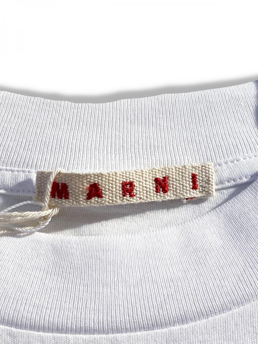 オーガニックコットンクルーネックTシャツ