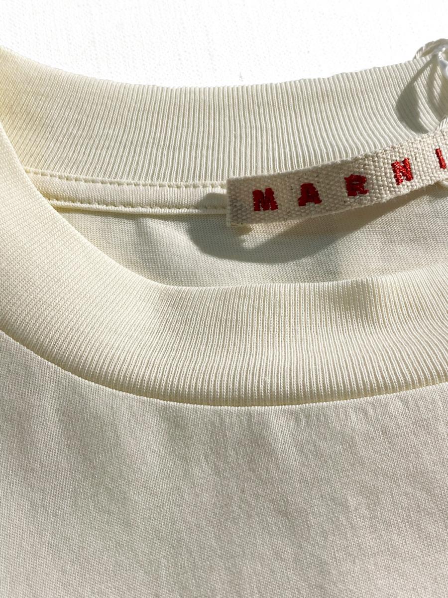オーガニックコットンクルーネックTシャツ
