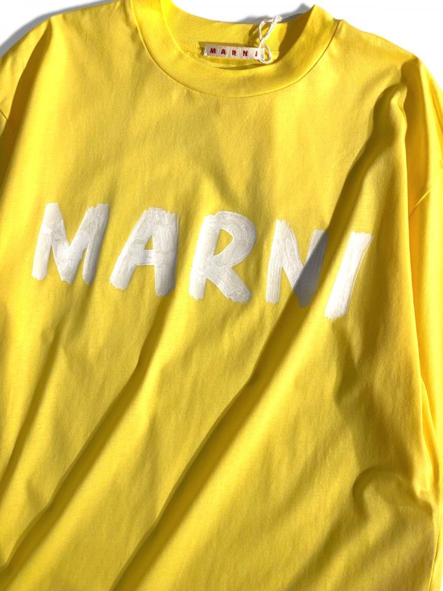 オーガニックコットンクルーネックTシャツ