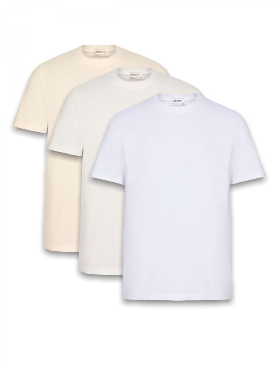 パックTシャツ