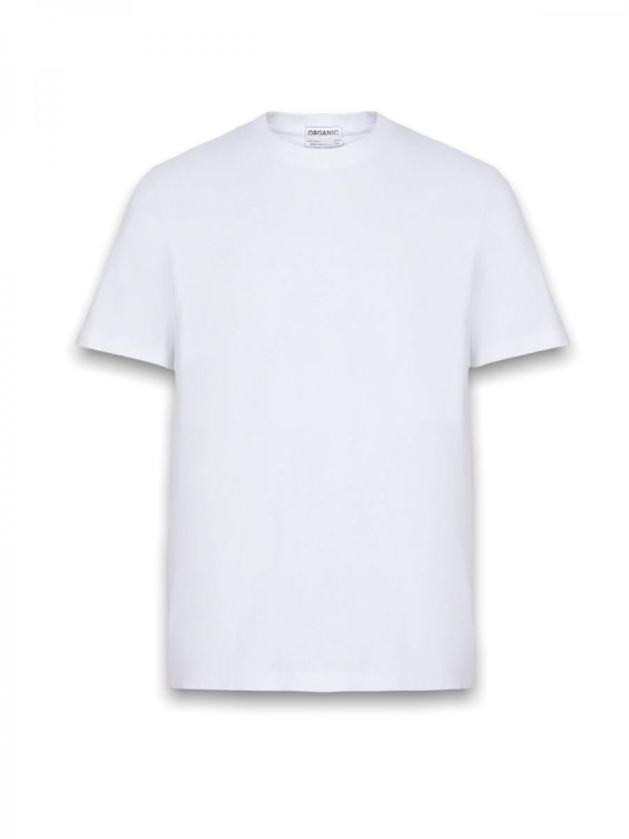 パックTシャツ