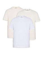 パックTシャツ